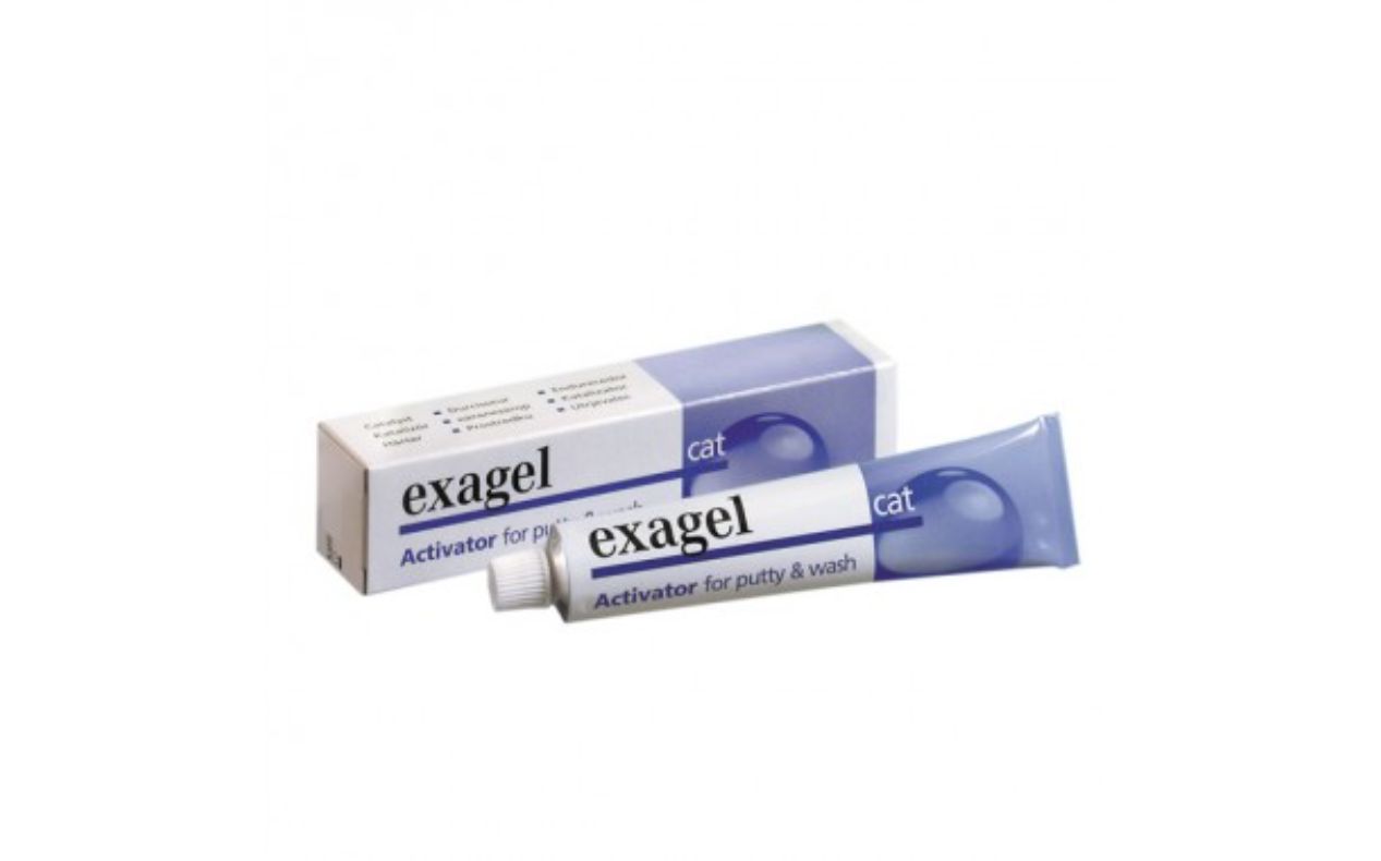 Exaplast Katalizör  (60 ml)